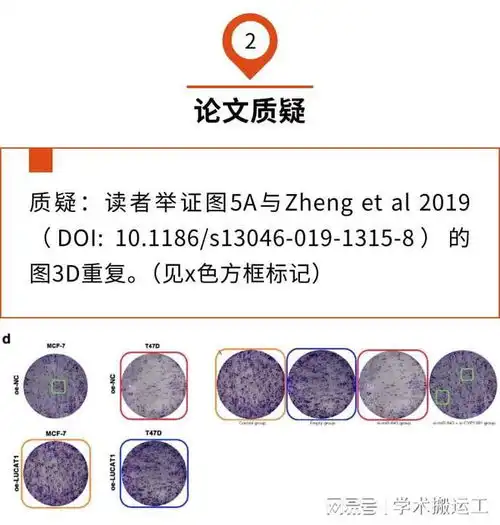 昆山市第一人民医院与一篇11.4分的早期论文图片重复