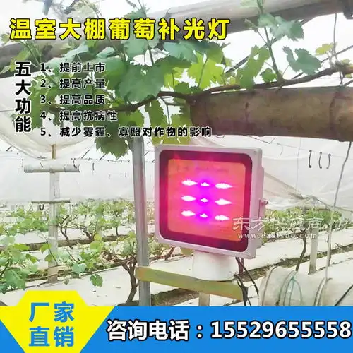 红皎阳激光植物灯在线咨询激光植物生长灯图片
