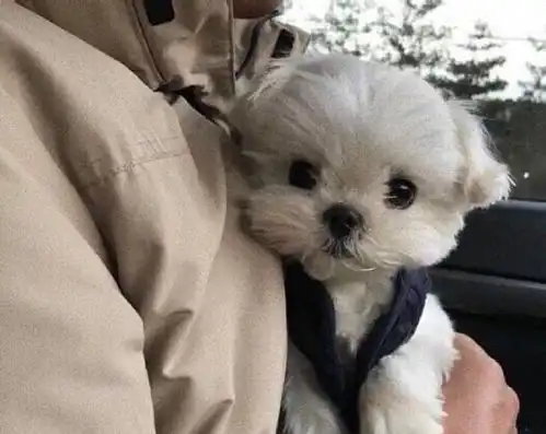 开心一刻想吵架就直说吧,还玩角色扮演