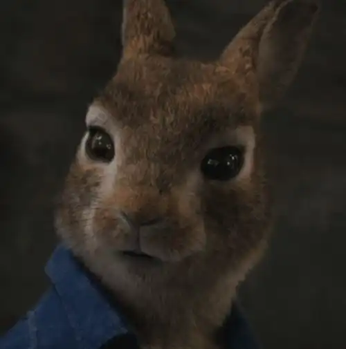 比得兔2平庸不可怕,可爱就是王道