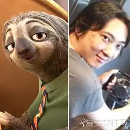 不说笑明星撞脸已经撞到动物界啦