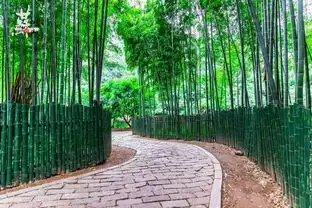 一段小清新的洗肺之旅