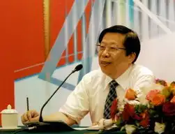 妈祖筑海之梦杨伟光古稀之年宝刀未老
