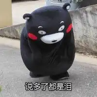 熊本熊系列聊天猥琐表情我要是白点就好了