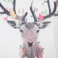 麋鹿头像唯美微信头像图片大全