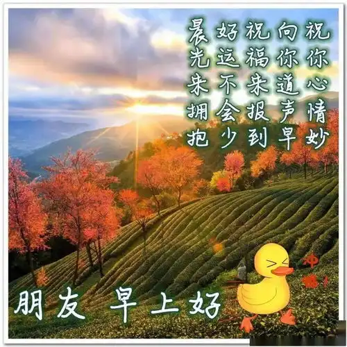 不用打字就可聊天的图片