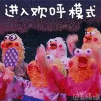 送你全套鹦鹉兄弟表情包,提前祝你鸡年大吉吧