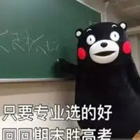 熊本熊带字学习头像微信头像图片大全