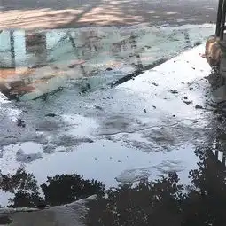精选图片帖第109页
