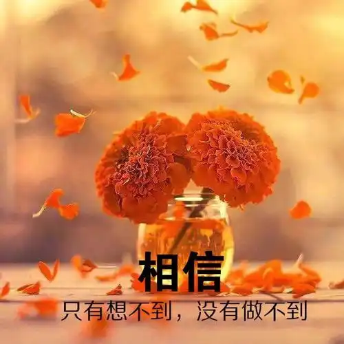 早上好正能量励志说说,经典的人生感悟短语