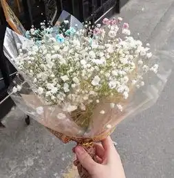 爱情测试三束满天星选一个测你在异性眼中的魅力在哪里