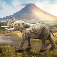 schleich思乐schc14746母猎豹玩具2件多少钱
