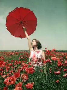 花之公主