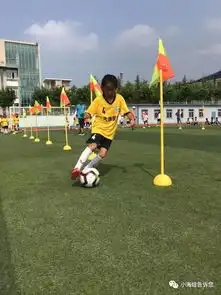 足下生辉星光闪耀心怀梦想逐球前行2019全国青少年校园足球满天星训练营金普营区暑假集训营圆满结束