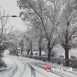 大兴安岭白雪茫茫银装素裹冬意来袭