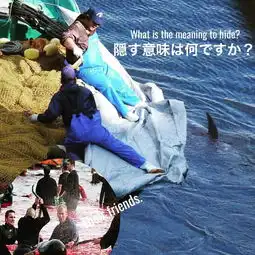 被国际谴责,又没人爱吃,日本人为啥还要拼死捕鲸