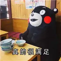 搞笑版熊本熊可爱表情包感觉就像是一直被牵挂着