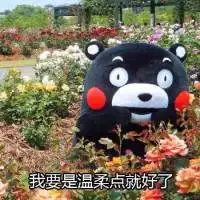 熊本熊系列聊天猥琐表情我要是白点就好了