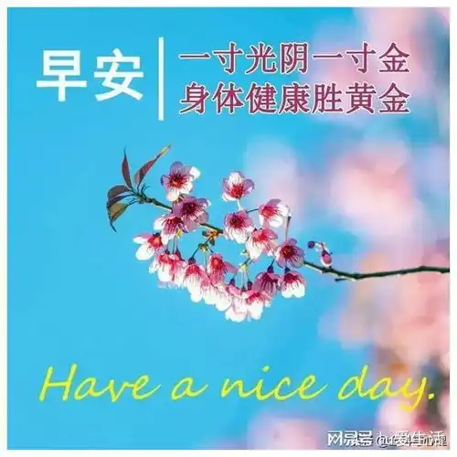 美好的一天,让我们抛开所有的烦恼,怀揣美丽的梦想