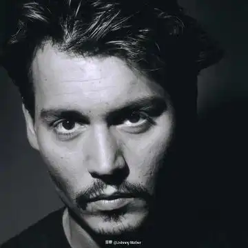 全站照片标签johnnydepp