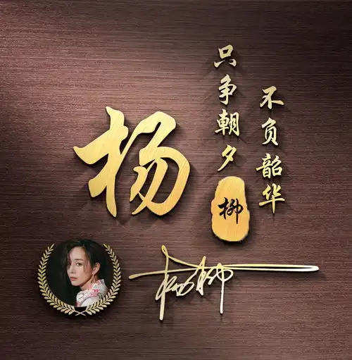 应粉丝要求,今天设计了四十张微信头像,特效连笔艺术签名