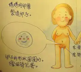 德国香港日本3个版本的儿童性教育图片