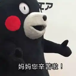 母亲节表白妈妈表情包下载熊本熊母亲节撩妈表情包无水印版极光下载站