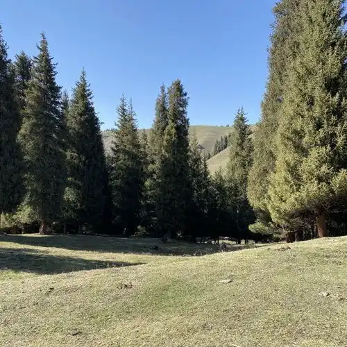 江布拉克风景区地址,江布拉克风景区电话,江布拉克风景区图片360地图