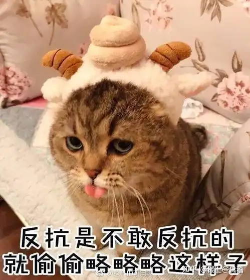 请问如图表情包有没有可爱一点的替代