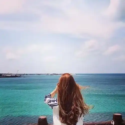 测试一个超长简介的文章