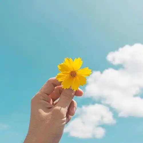 越读越优秀的人生格言,句句经典,引人深思
