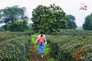 一段小清新的洗肺之旅