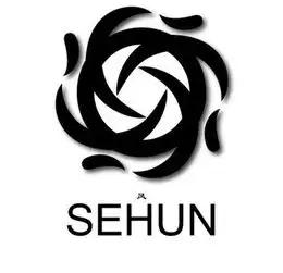 哪位亲故有exo的高清logoд专辑的和个人的w