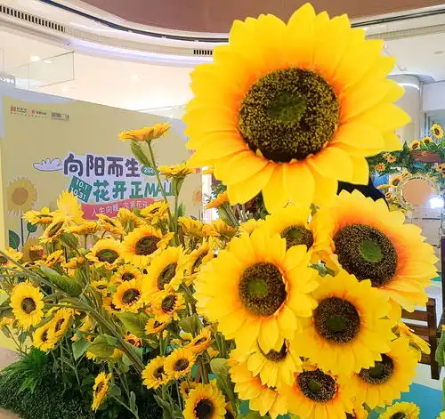 定格国庆瞬间向阳而生