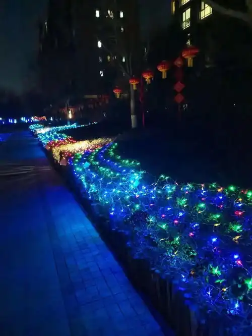 盛装迎佳节喜庆迎新年
