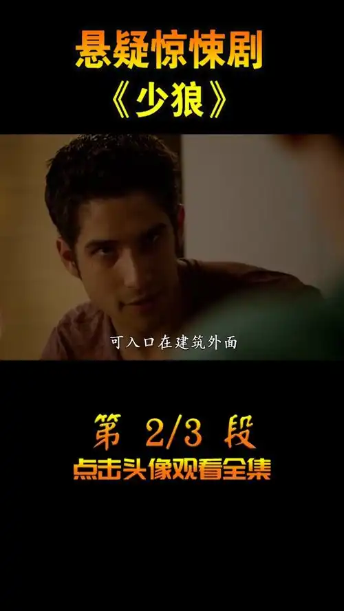 少狼的赏金竟然高达2500万美刀少狼魔幻