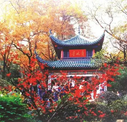 湘景乘一趟高铁,观湖南美景