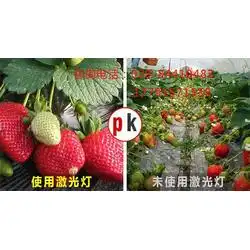 植物灯生长灯有用吗东沙群岛植物灯诺达植物灯