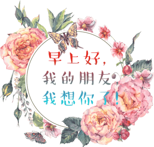一曲谢谢你好听极了,致我最珍惜的朋友