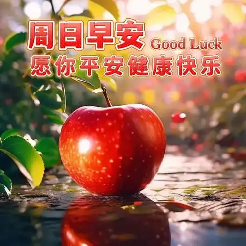 2024年6月23日农历五月十八祝福图片星期日最新问候美图周末愉快