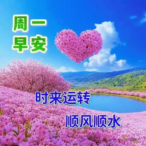 2024年8月26日星期一秋天早安祝福图片,落叶知秋,愿你入秋心情清凉,事业火热,健康平安网易订阅