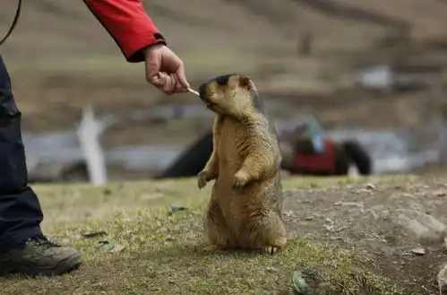 这些美丽的小村子,一周都住不够