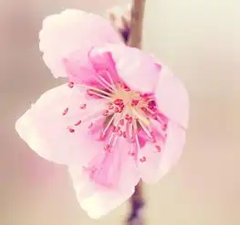 爱什么别爱错人,累什么别累了心