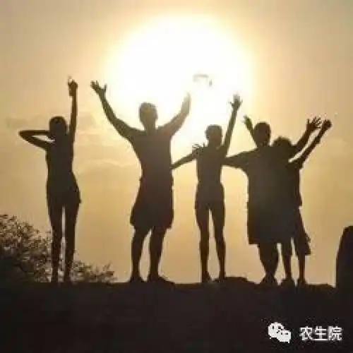 测试一个超长简介的文章