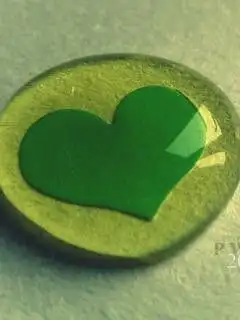 小清新定义我都母鸡啦