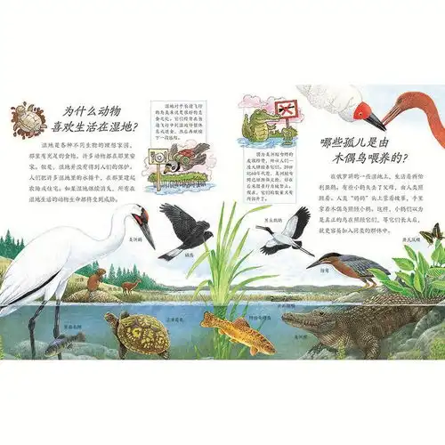 我想知道为什么自然探索系列全10本套装百科全书414岁虫子世界