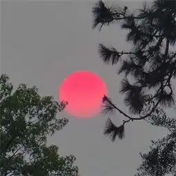 2018抖音流行图片头像风景要像一个神经病一样活泼开朗