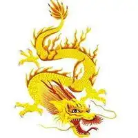 属龙人最旺财的微信头像微信头像图片大全