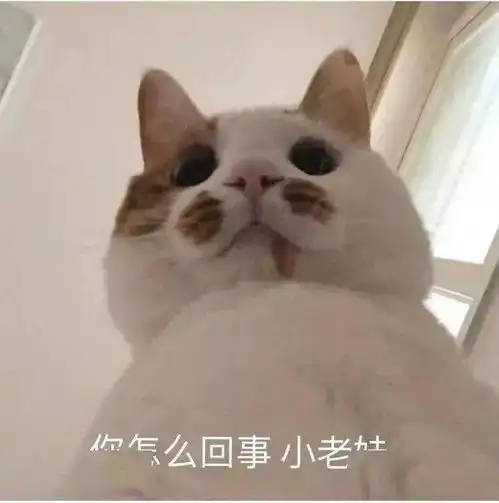 柳州一女子和男友在待小车内一个多小时,下车后发现旁边的电车没了