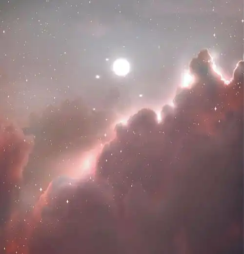 看起来高冷傲娇,实则外冷内热的星座